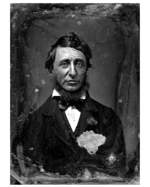 Daguerrotipo de Henry David Thoreau Benjamin D Maxham 1856 Este libro - photo 1