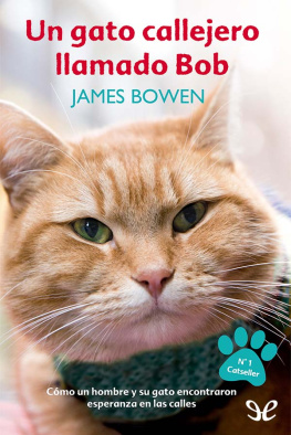 James Bowen Un gato callejero llamado Bob