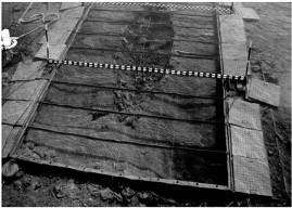 Reproducción de una vista del proceso de excavación del pecio de Mazarrón - photo 2