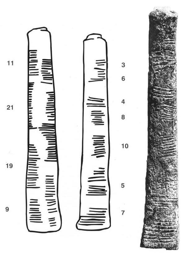 El hueso de Ishango con las pautas de marcas y los números que pueden - photo 1