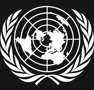 La ONU es una organización internacional cuyo objetivo es mantener la paz y la - photo 3